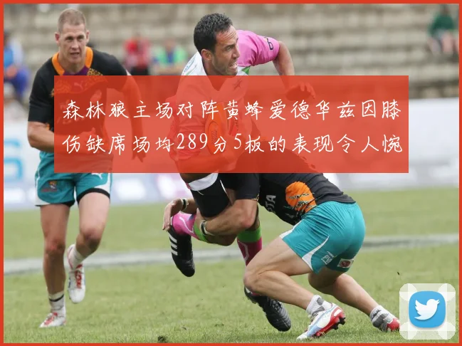 森林狼主场对阵黄蜂爱德华兹因膝伤缺席场均289分5板的表现令人惋惜