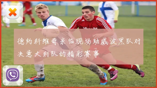 德约科维奇亲临现场助威波黑队对决意大利队的精彩赛事