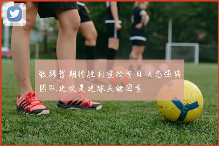 张稀哲期待胜利重拾昔日状态强调团队进攻是进球关键因素