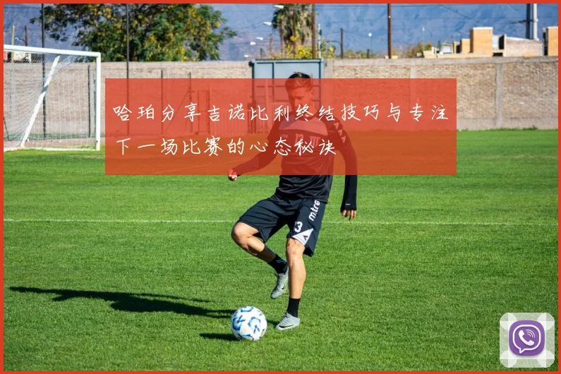 哈珀分享吉诺比利终结技巧与专注下一场比赛的心态秘诀
