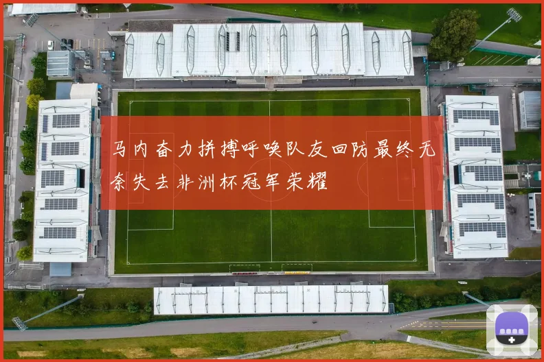 马内奋力拼搏呼唤队友回防最终无奈失去非洲杯冠军荣耀